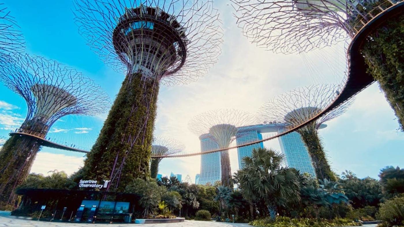 Supertree Grove at Gardens by the Bay with elevated skywalk and modern skyline in Singapore.