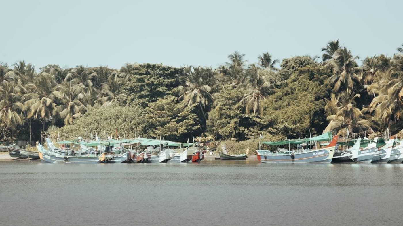 Colorful fishing boats docked along calm backwaters with coconut palm trees in scenic Kerala village.