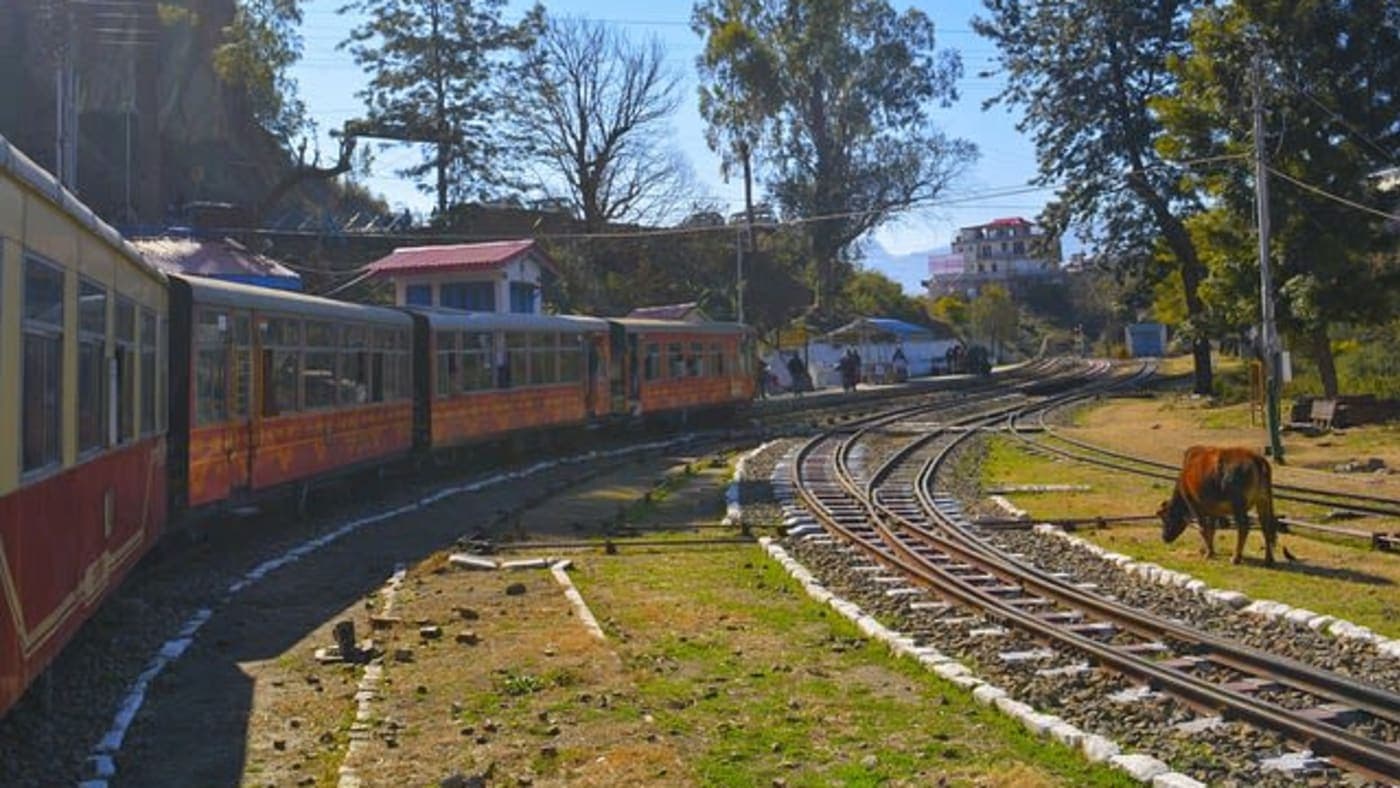 Toy train on winding railway track through scenic hills and trees in Shimla, Himachal Pradesh.