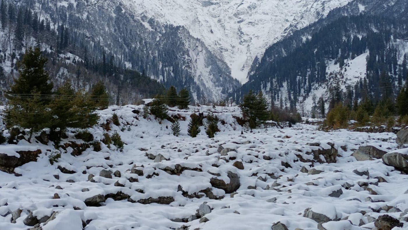 Snow covered valley with pine forests and Himalayan mountains in scenic Manali, Himachal Pradesh.
