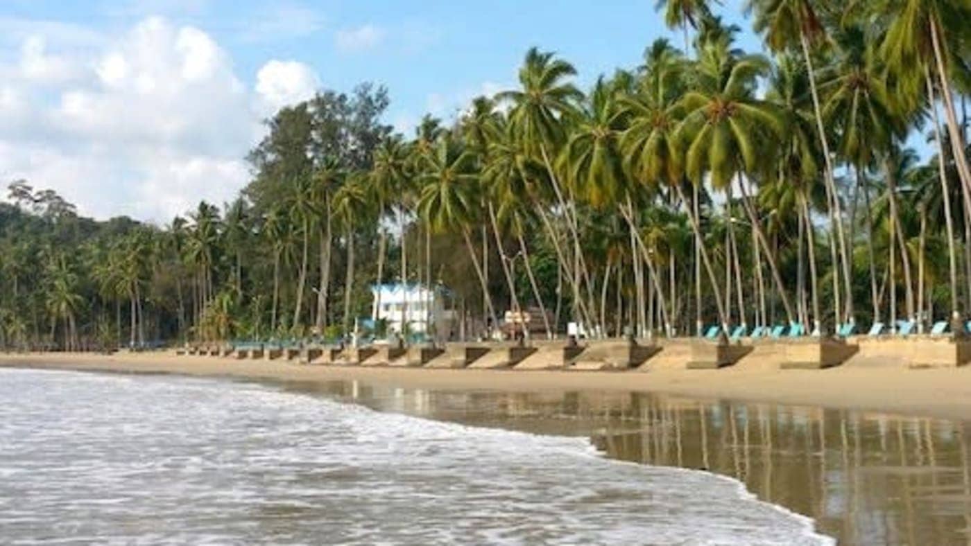 Peaceful tropical beach with tall coconut palms and gentle waves along the coast of the Andaman and Nicobar Islands.