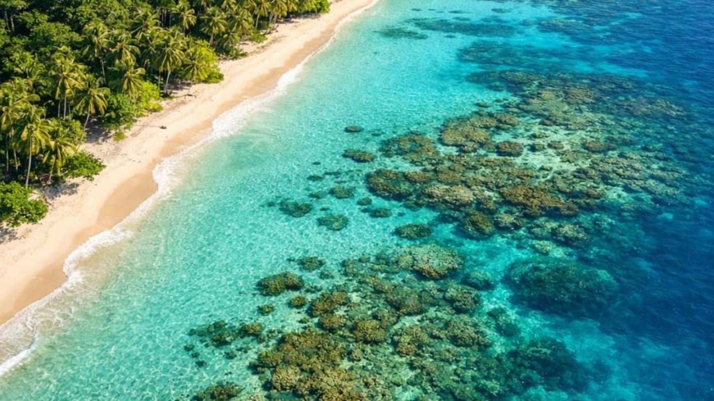 Aerial view of turquoise sea, coral reefs, and a palm-lined tropical beach along the Andaman and Nicobar Islands coastline.