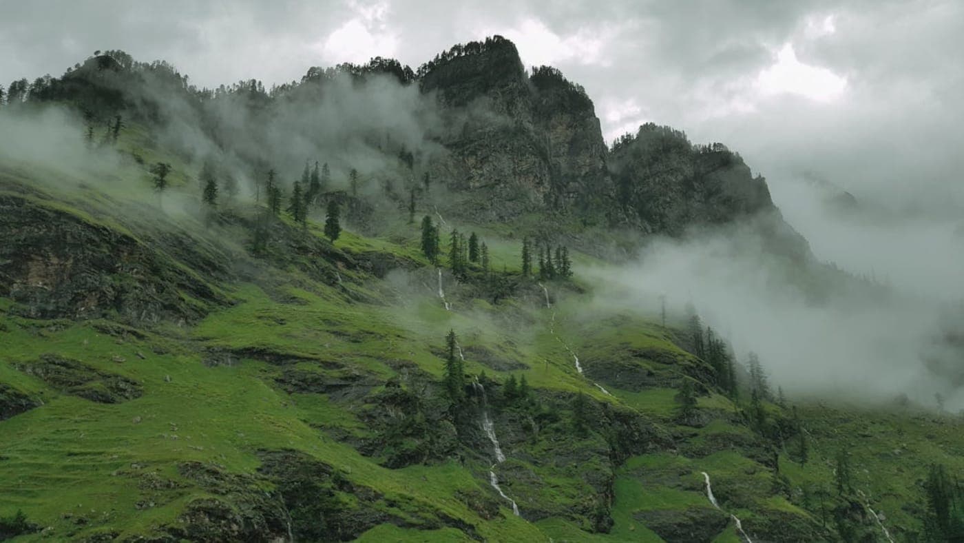 Misty mountain slope with lush green grass of Manali, scattered pine trees, rocky cliffs, and thin waterfalls beneath heavy gray clouds.