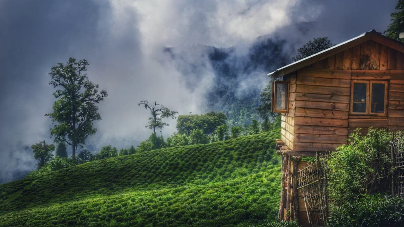 Wooden house in Sikkim overlooking lush green tea gardens with misty hills and trees in the background