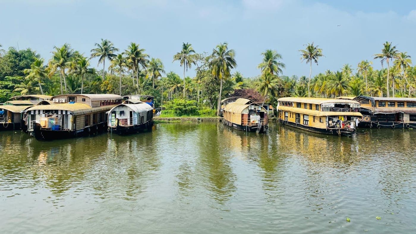 Misty sunrise over rolling tea plantations in Kerala with curved rows, scattered trees, and distant hills under a clear blue sky.